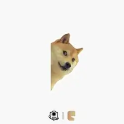 151