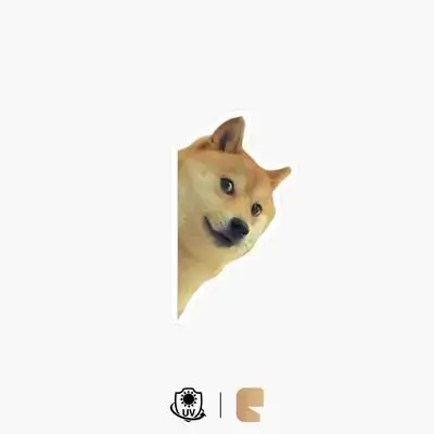151