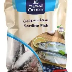 sardine fish