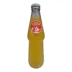 Uldag Orange Carbonated Drink 250ml
