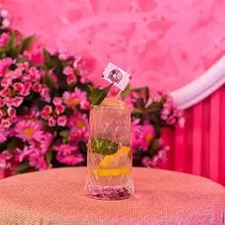 Classic Mojito