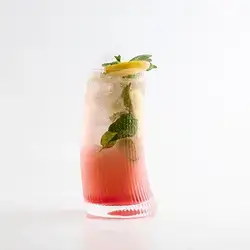 Watermelon Mojito