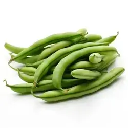 Green Bean