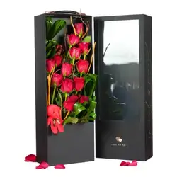 Valentine 3