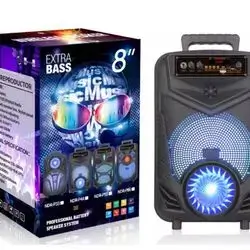 Speaker 