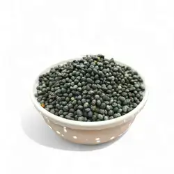 Terebinth berr (qazwn)