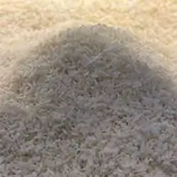 Coconut