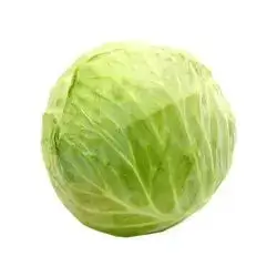 cabbage