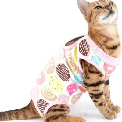 Cat Surgery Recovery Suit M