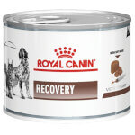 Royal Canin Recovery 195g