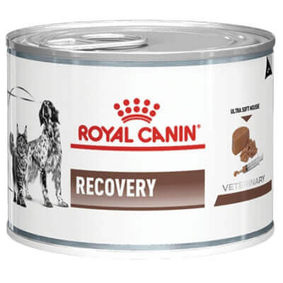 Royal Canin Recovery 195g
