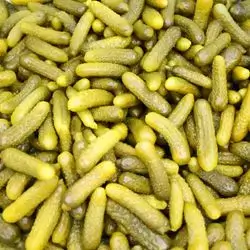 Indian Cucumber