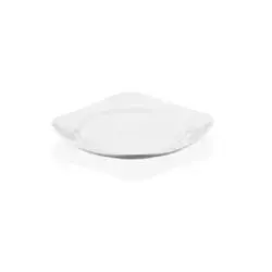 21Cm Square Flat Plate (Pc)