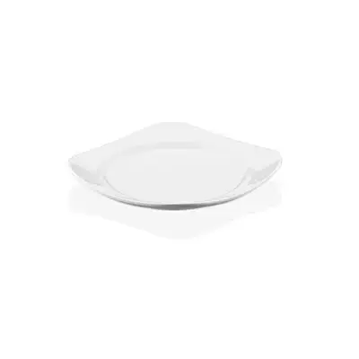 21Cm Square Flat Plate (Pc)