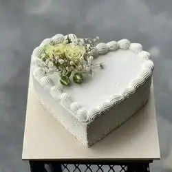 Vanilla cake