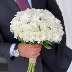 چەپكە گولی سروشتی داودی سپی