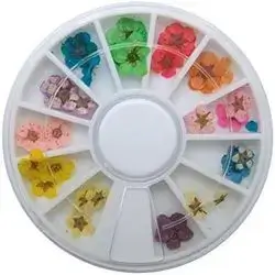 Nail Art Accessories Dried Flowers Colorful Life Nail Flower Stickers for DIY Crafts Nails Decorations Nail Salon Nail Decals Nail Design for Nail Treatment Resin Jewelry
