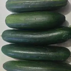 Cucumber