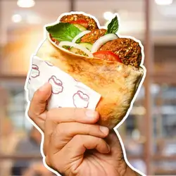Plain Falafel Sandwich