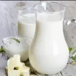 Erbil Yogurt