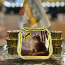 Family - Cat Wet Food