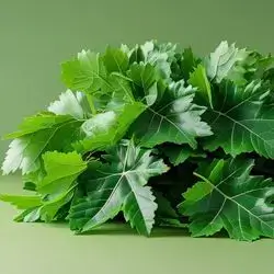 Local Grape Leaves