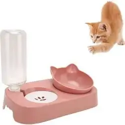 Bowl & Water Dispencer