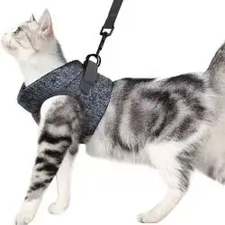 Soft Leash & Harness M