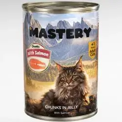 Mastery Salmon in Jelly 400g