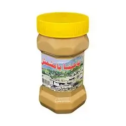 Rashi Amedi