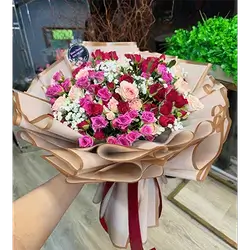 Mixed Baby Rose