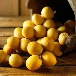 Barhi Date 