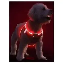 Red Led Harness L