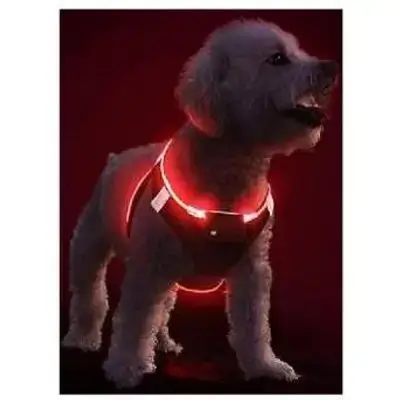 Red Led Harness L