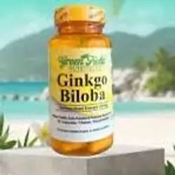 ginkgo biloba 120mg 30capsules