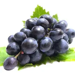French Black Iraqi Grape