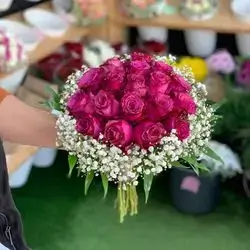Maroon Rose