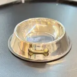 Dog Bowl