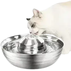 Steel Fountain 2L