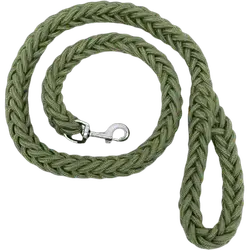Dog Leash