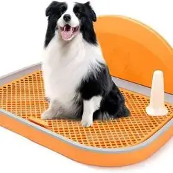 Dog Training Toilet 46cm