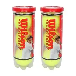 Wilson Championship Extra Duty Tennis Balls