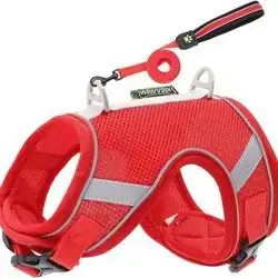 Soft Harness & Leash XS