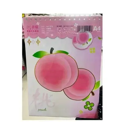 A4 SKETCH BOOK 45 P