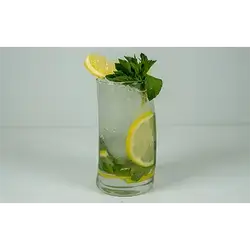 Classic Mojito