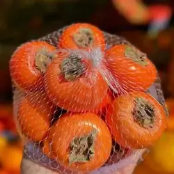 Persimmon