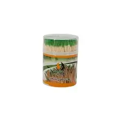 Alzanbaq Toothpick With Mint 400 Pcs