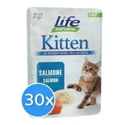 Life Cat Kitten Salmon 30X