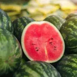 Watermelon 