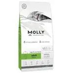 Molly Adult Salmon Sterilized 2kg